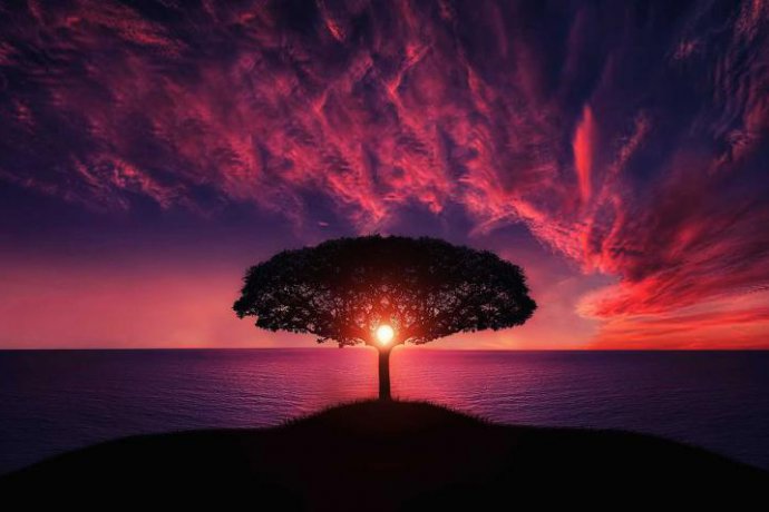 The Quantum Book of Living, Dying, Reincarnation, and Immortality
